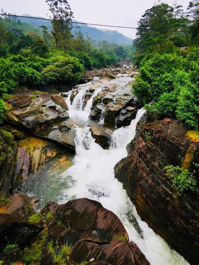 Butterfly Mountain Lake Side Maskeliya Exterior foto