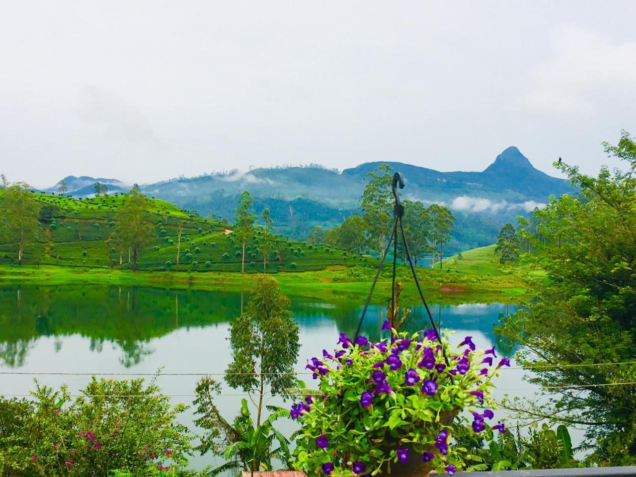Butterfly Mountain Lake Side Maskeliya Exterior foto