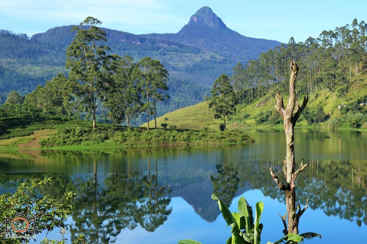 Butterfly Mountain Lake Side Maskeliya Exterior foto